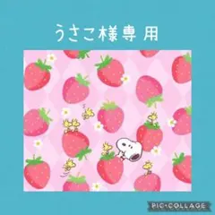 ユキエモンバルーン限定色猫ポーチ大オーダー