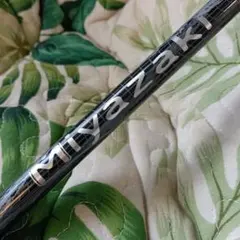 Item thumbnail for item 04ec78b1-472f-45d3-8895-134ea33d77f9