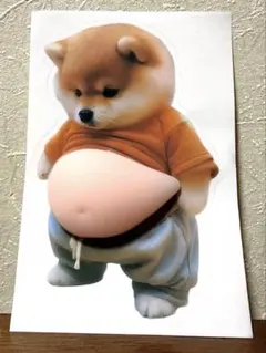 柴犬　お腹シール