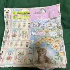 Item thumbnail for item c71aad2b-a341-4c88-8a3c-2b3efc55b30c