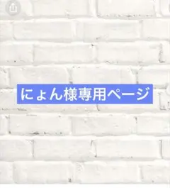 にょん様専用ページ