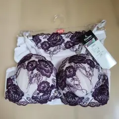 Elegante ブラジャー ショーツ セット A70