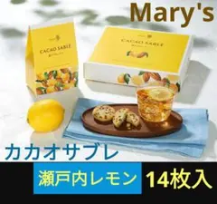 【季節限定】Mary's 瀬戸内レモン カカオサブレ 14枚入のサムネイル