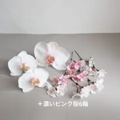 翔໒꒱. ゜プロフィール参照様 リクエスト 2点 まとめ商品