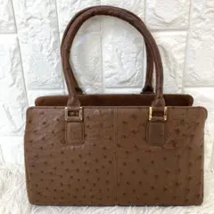 新品未使用 OSTRICH オーストリッチ レザー ハンドバッグ ブラウン