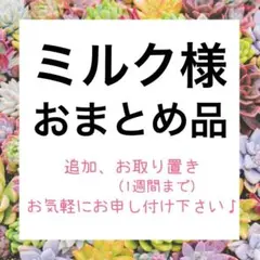 ミルク様　おまとめ品