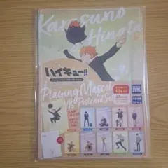 ハイキュー A5ポストカード セット playing マスコット 10枚入り