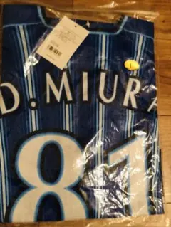 Item thumbnail for item cae42a7a-0df8-4134-8f92-9b64833c26b1