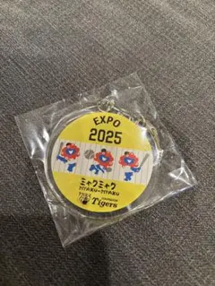 Item thumbnail for item 8ca03de6-203e-401b-a8c4-d9cdccaab193