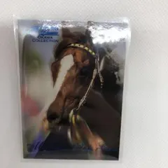 The Classic 1998  マヤノトップガン