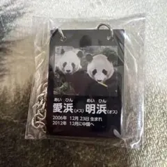 アドベンチャーワールド　電光看板風プレートチャーム　愛浜 明浜のサムネイル