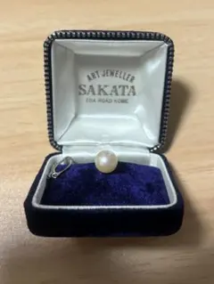 Item thumbnail for item 6b2fd1a2-d320-42cc-b58f-ccd9ca8138e5