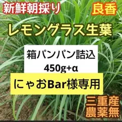 にゃおBar様専用☆ レモングラス生葉450g