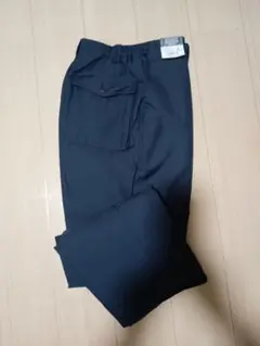 Item thumbnail for item 67a095c5-e108-4496-9198-e81b1503f42d