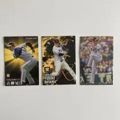 Item thumbnail for item 5718d840-df48-4d3f-8881-402f7de6cd3a