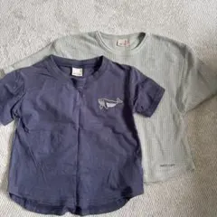 petit main 男の子Tシャツ 80サイズ 2枚セット