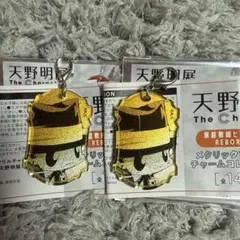 Item thumbnail for item 3654452b-ccd2-4a9a-a723-cd870a9ad425