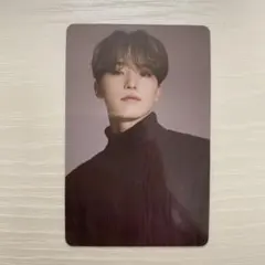 ディノ　トレカ