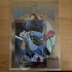 Mrs. GREEN APPLE クリアファイル 若井滉斗