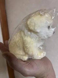 犬 スクイズ