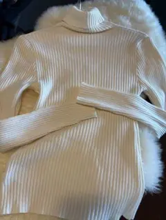 グレイル　タートルネックリブニットトップス