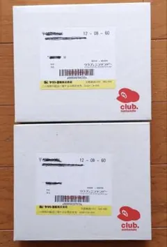 DS チンクルのバルーンファイト & 絶叫戦士 サケブレイン 新品未開封 非売品