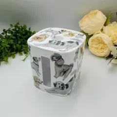 Item thumbnail for item 65e52003-9fe2-4c36-8db0-4d6d6349815f