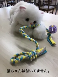 고양이 장난감