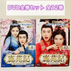 雪華の炎～揺るぎない誓い～ DVD全巻セット 全24巻 アジアドラマ