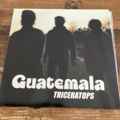トライセラトップス　TRICERATOPS アナログ　レコード
