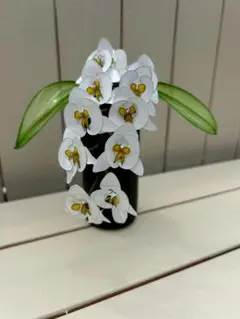 ミニ胡蝶蘭アメリカンフラワー