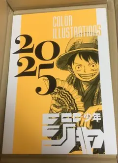 少年ジャンプ 非売品イラスト集 COLOR ILLUSTRATIONS 2025 週刊少年ジャンプ COLOR ILLUSTRATIONS 2025 イラスト集 - メルカリ