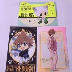 REBORN ナンジャタウン 沢田綱吉 リボーン