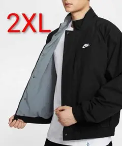 Item thumbnail for item c88bf821-3194-4d0a-8e2e-ba01ba4848e4