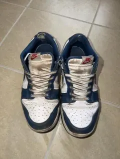 Nike Dunk Low 