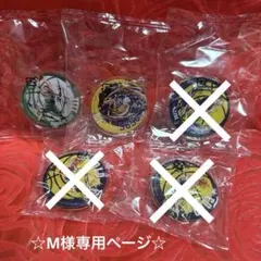 ☆M様専用ページ☆