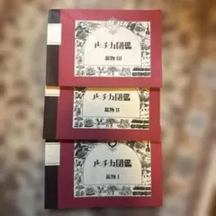 Item thumbnail for item 167dc2e7-117f-4d08-b889-246aa4a8277a