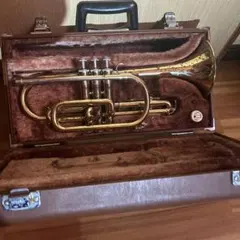 Item thumbnail for item 831ff09b-2e29-4618-a011-ca1534b9af5a