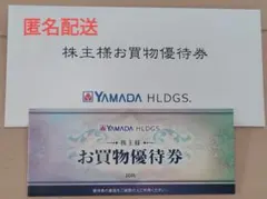 ヤマダ電機 株主優待 5000円分