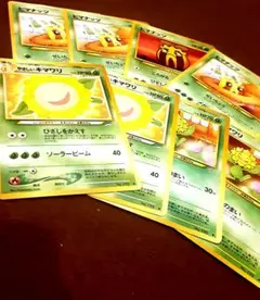【旧裏】ポケカ ポケモン8枚セット やさしいキマワリ、キマワリ、ヒマナッツ