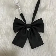 Item thumbnail for item 32eee48f-a86e-4213-8207-38752d92a9c6