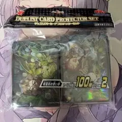 精霊術の使い手 スリーブ