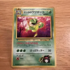 エリカのウツボット ☆ ジム拡張第1弾 リーダーズスタジアム - メルカリ