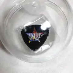 2025年最新】bzピックバッジの人気アイテム - メルカリ