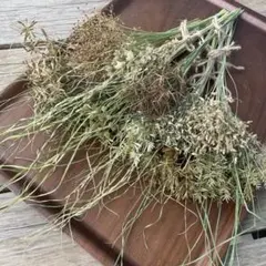 coron様 リクエスト 4点 まとめ商品