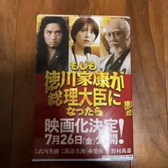 もしも徳川家康が総理大臣になったら
