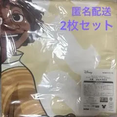 セガラッキーくじ オンライン ディズニーキャラクタークール！コレクション カミロ