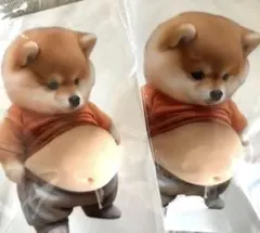 Item thumbnail for item c7586ff3-1933-47e4-b65f-6eb68e46b76e