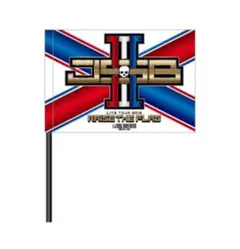 RAISE THE FLAG フラッグ 三代目JSOULBROTHERS ツアー