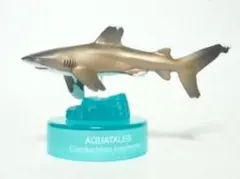 ヨゴレ／黒潮コメッコ AQUATALES～黒潮の魚たち～のサムネイル